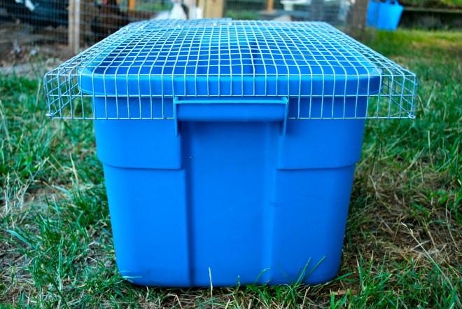 Quail Brooder Guard The Easiest and Best Coturnix Quail Brooder | Abernathy's Rabbitry