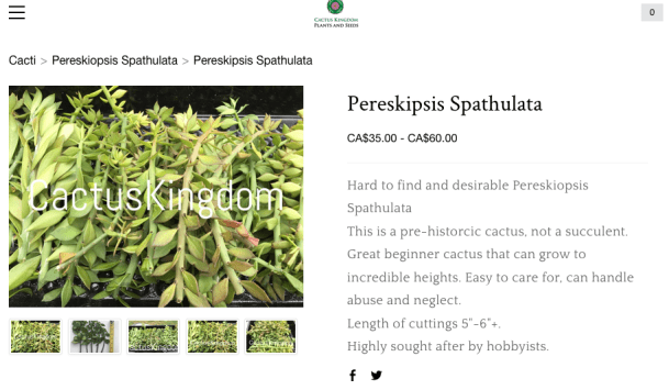 Screen Shot 2018-03-23 at 3.33.40 PM