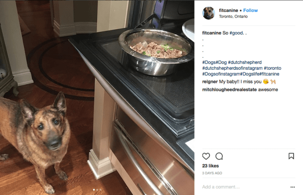 Screen Shot 2018-03-25 at 4.57.40 PM.png