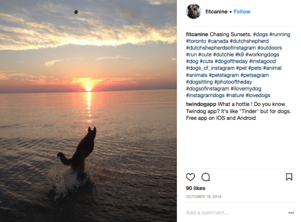 Screen Shot 2018-03-26 at 5.54.26 PM.png